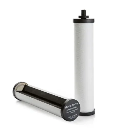 CarboSwiss Filter Element