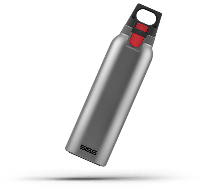 Thermo Flask Hot & Cold ONE Light Brushed 0.55 L