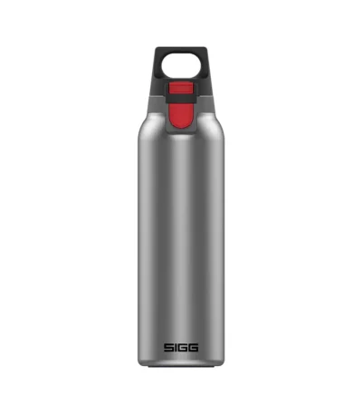 Thermo Flask Hot & Cold ONE Light Brushed 0.55 L