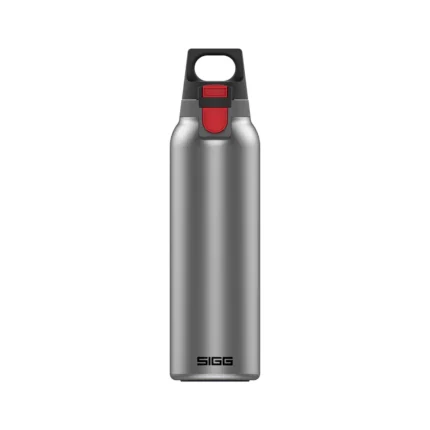 Thermo Flask Hot & Cold ONE Light Brushed 0.55 L